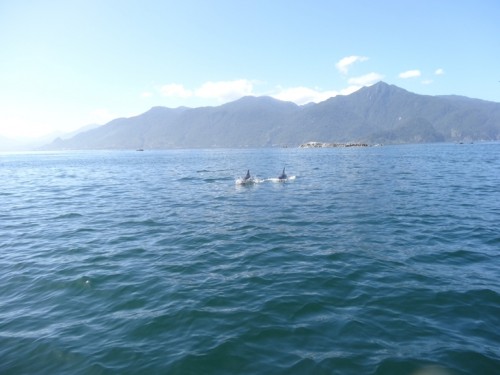 RinconAustral