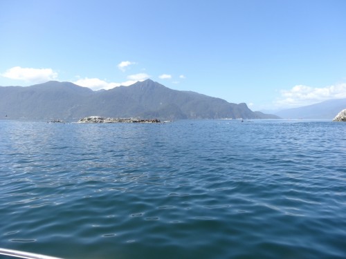 RinconAustral